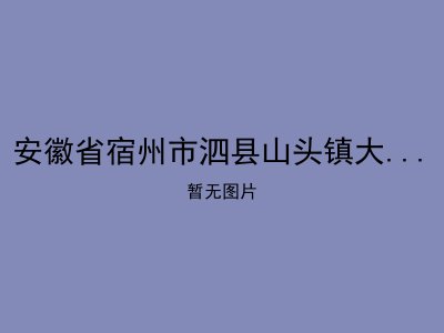 安徽省宿州市泗县山头镇大柏幸福院