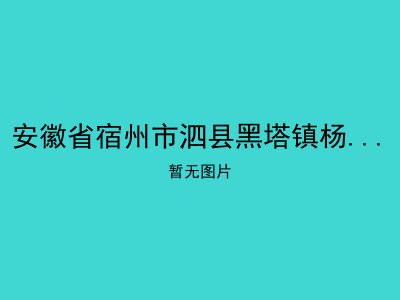 安徽省宿州市泗县黑塔镇杨步川敬老院