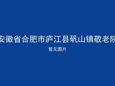 安徽省合肥市庐江县矾山镇敬老院