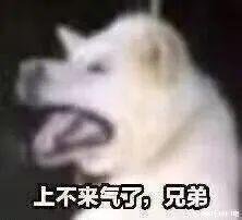 安徽省合肥市肥东县杨塘乡敬老院
