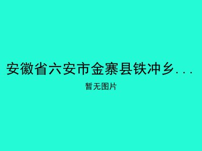 安徽省六安市金寨县铁冲乡前营村敬老院