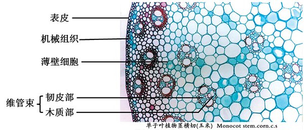 安徽省马鞍山市当涂县护河镇敬老院