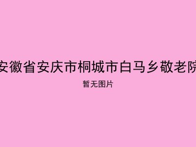 安徽省安庆市桐城市白马乡敬老院