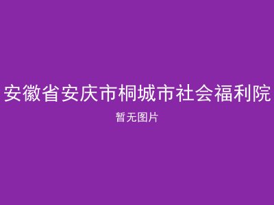安徽省安庆市桐城市社会福利院