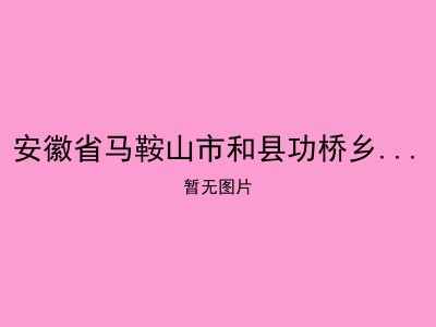安徽省马鞍山市和县功桥乡前唐敬老院