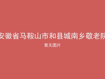 安徽省马鞍山市和县城南乡敬老院