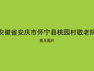 安徽省安庆市怀宁县桃园村敬老院