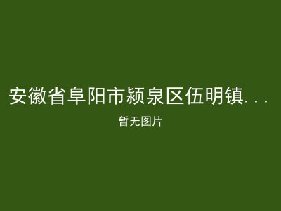 安徽省阜阳市颍泉区伍明镇伍明洼李敬老院