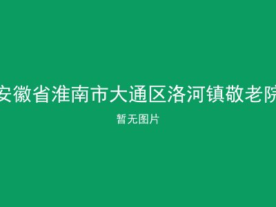 安徽省淮南市大通区洛河镇敬老院
