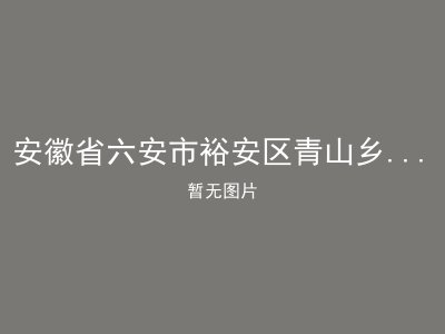 安徽省六安市裕安区青山乡第二敬老院