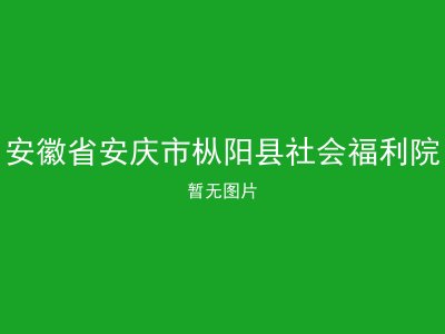 安徽省安庆市枞阳县社会福利院