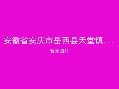安徽省安庆市岳西县天堂镇姚河乡敬老院