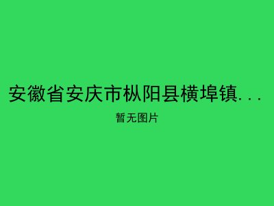 安徽省安庆市枞阳县横埠镇左山村敬老院