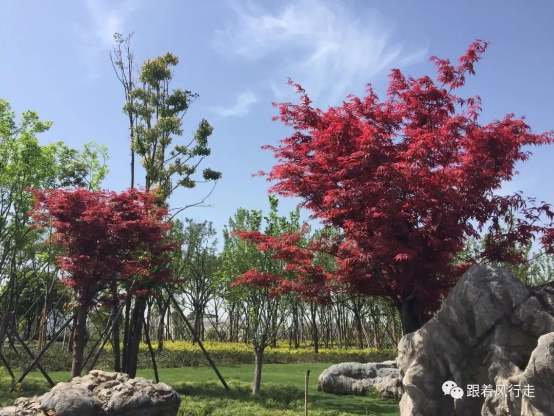 湖北省武汉市青山区武钢憩乐敬老院