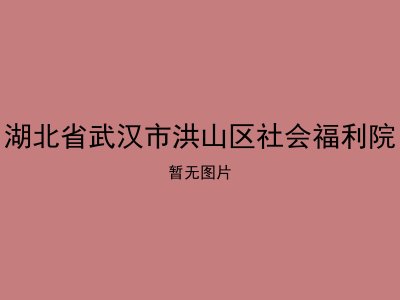 湖北省武汉市洪山区社会福利院
