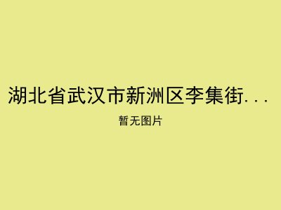 湖北省武汉市新洲区李集街第一福利院