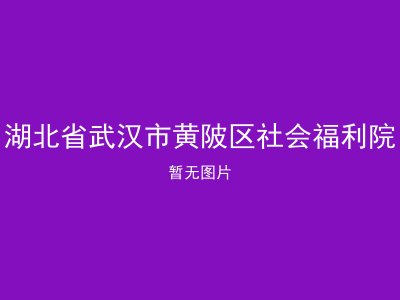 湖北省武汉市黄陂区社会福利院