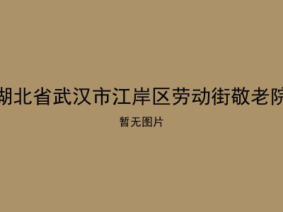 湖北省武汉市江岸区劳动街敬老院