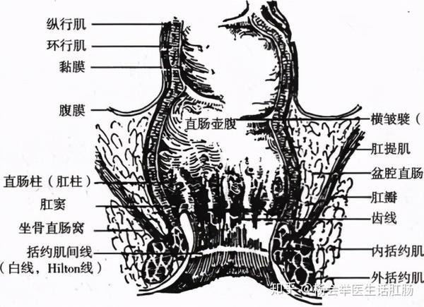 湖北省武汉市武昌区二桥街老年公寓