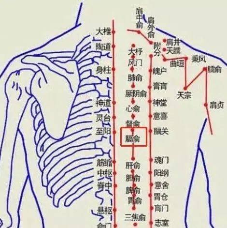 广东省河源市源城区福利院
