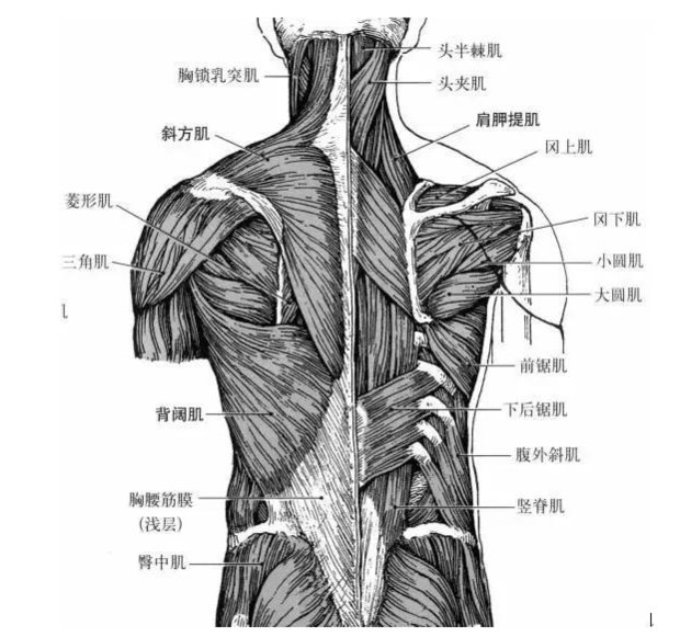 辽宁省沈阳市辽中县桃源老年公寓