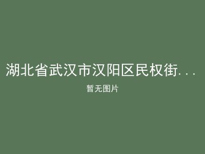 湖北省武汉市汉阳区民权街社会福利院