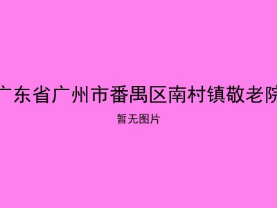 广东省广州市番禺区南村镇敬老院