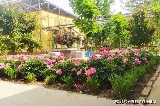 北京市顺义区大孙各庄镇敬老院