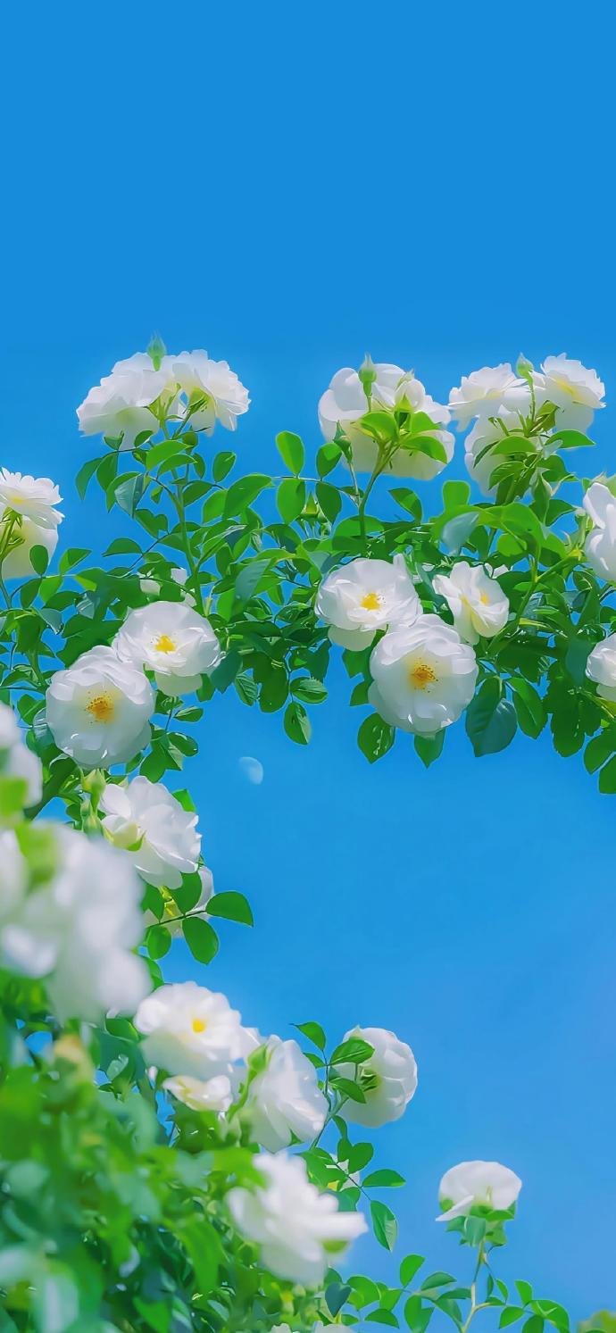 鹤凝老年公寓