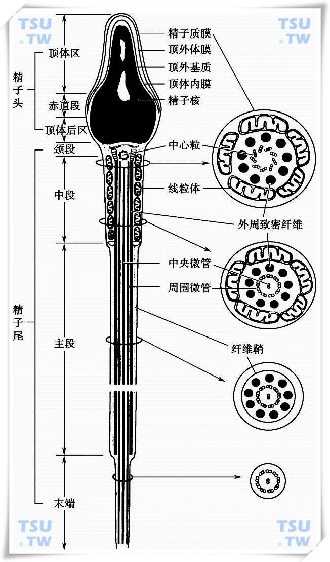 北京福康寿失能老人护理机构大兴亦庄分部（医保定点）