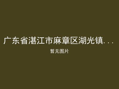 广东省湛江市麻章区湖光镇旧县敬老院