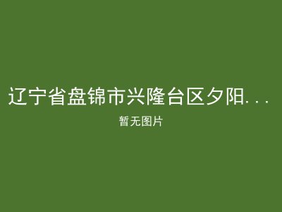 辽宁省盘锦市兴隆台区夕阳红老年公寓