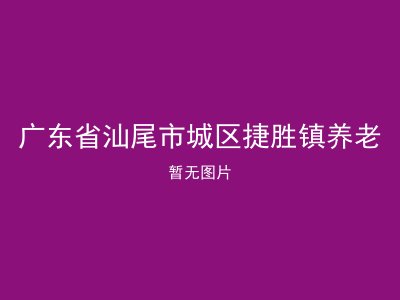 广东省汕尾市城区捷胜镇养老