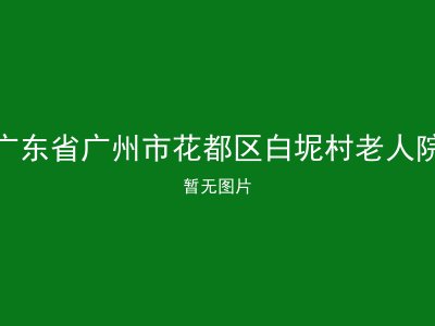 广东省广州市花都区白坭村老人院