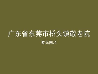 广东省东莞市桥头镇敬老院