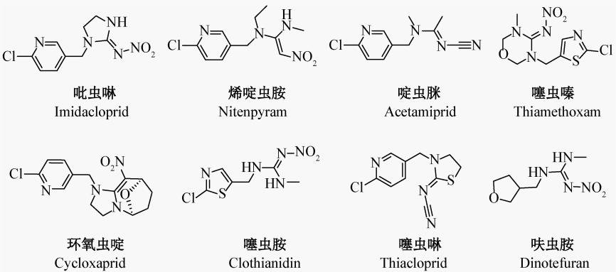 广东省肇庆市四会市罗源镇安老院