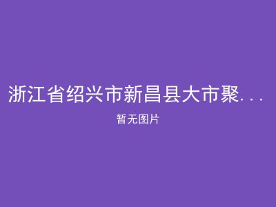 浙江省绍兴市新昌县大市聚镇新和成福利院