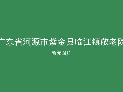 广东省河源市紫金县临江镇敬老院