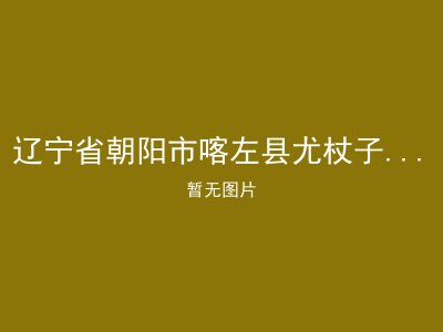 辽宁省朝阳市喀左县尤杖子办事处敬老院