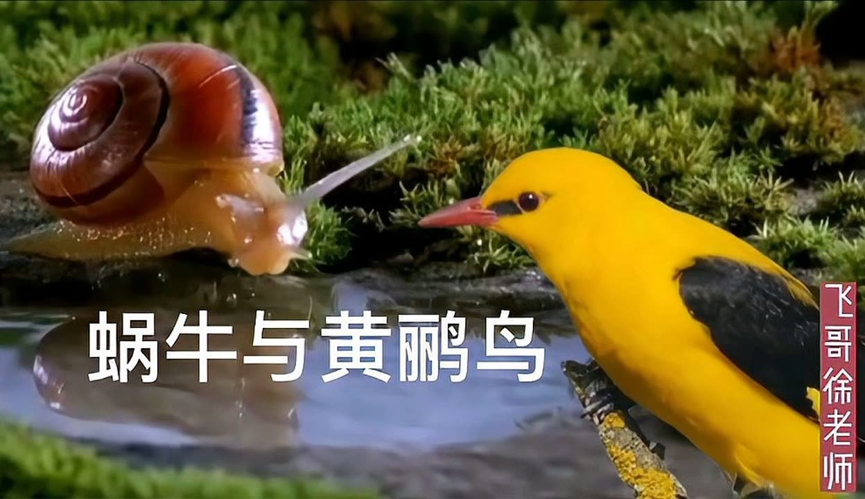 山东省青岛市李沧区浮山路社区敬老院