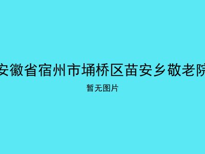 安徽省宿州市埇桥区苗安乡敬老院