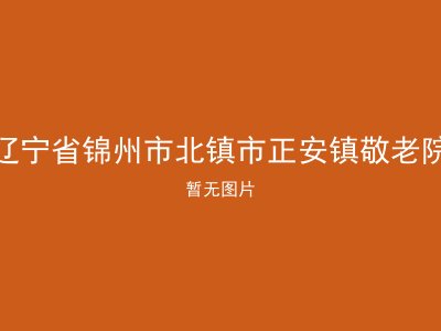 辽宁省锦州市北镇市正安镇敬老院