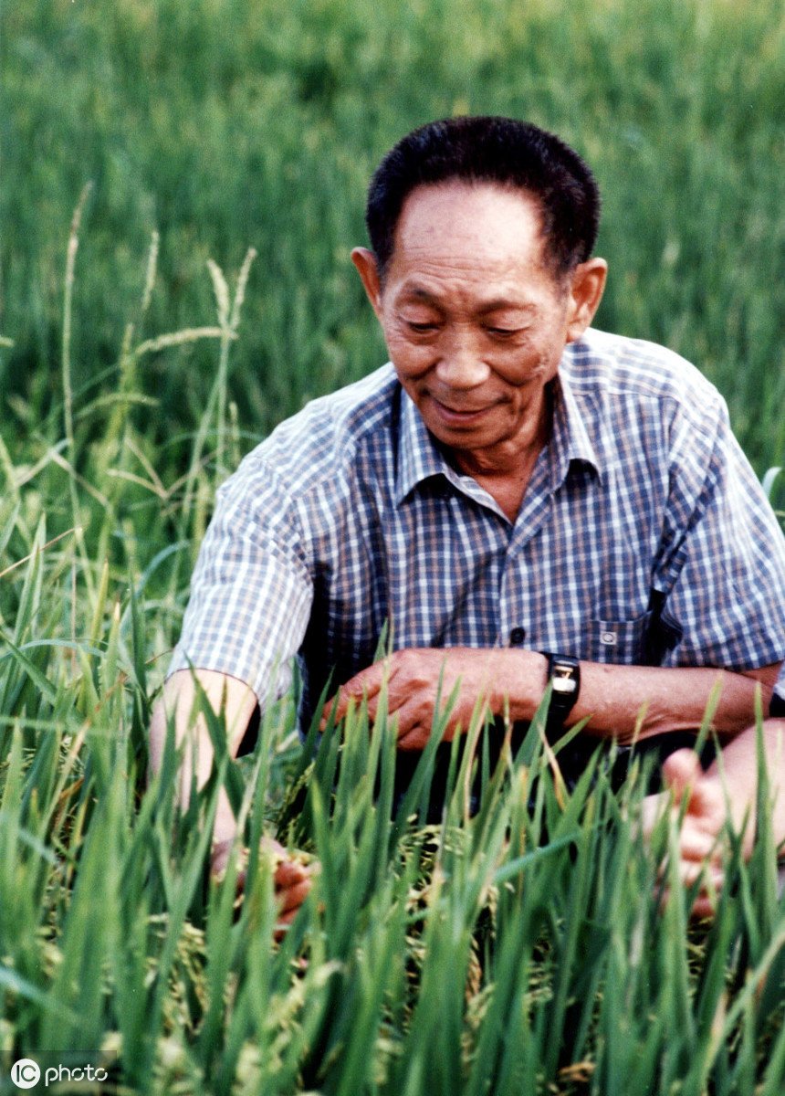 辽宁省朝阳市喀左县山嘴子镇敬老院