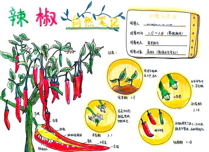 江西省抚州市临川区展坪乡民政所敬老院