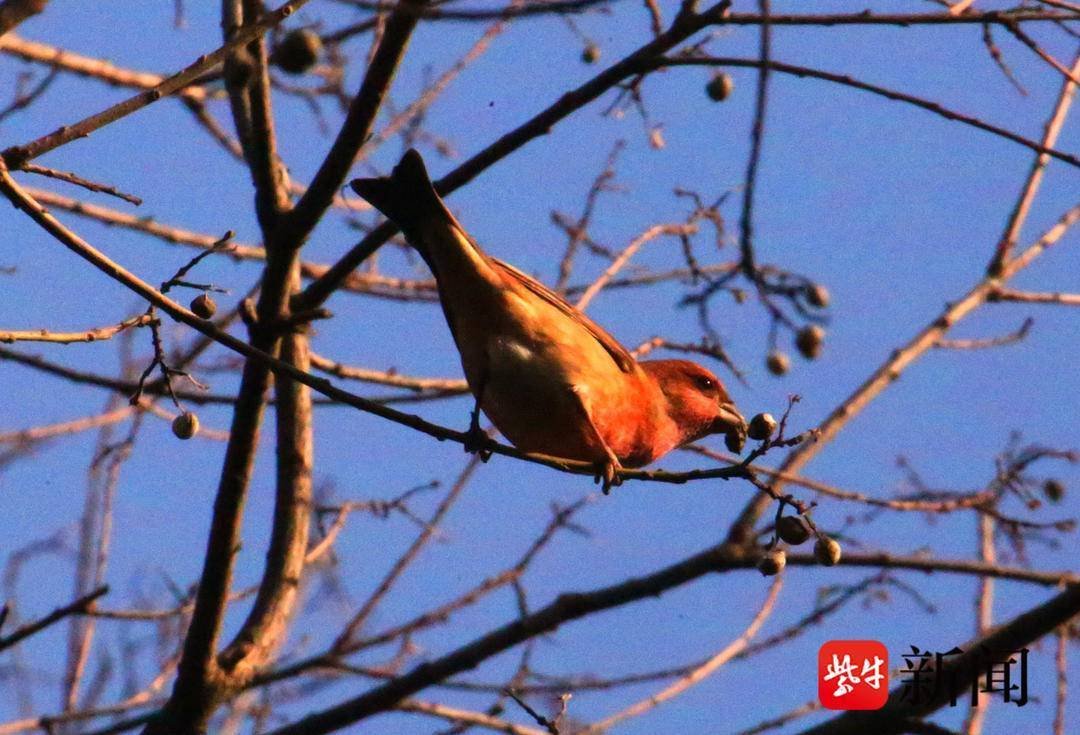 内蒙古呼和浩特市清水河县杨家窑乡盆地青敬老院