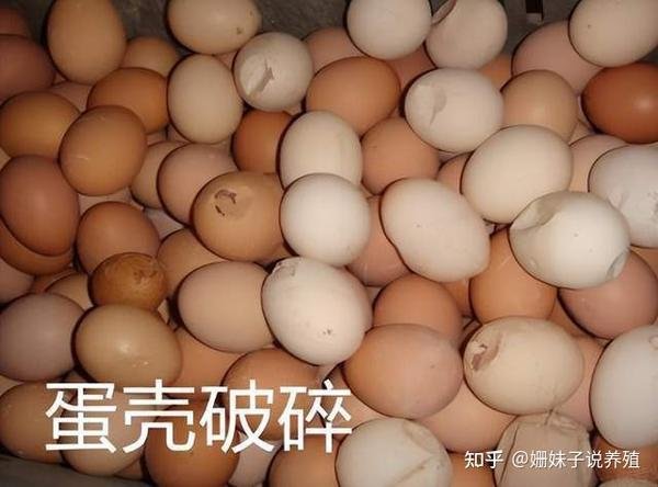 江西省吉安市吉安县敦厚镇敬老院