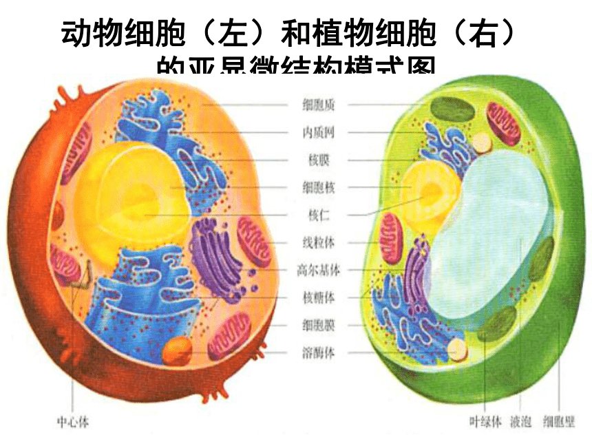 辽宁省锦州市凌海市石山镇敬老院