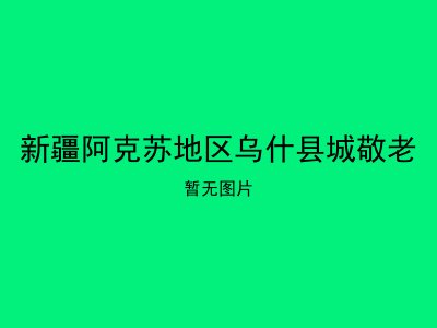新疆阿克苏地区乌什县城敬老