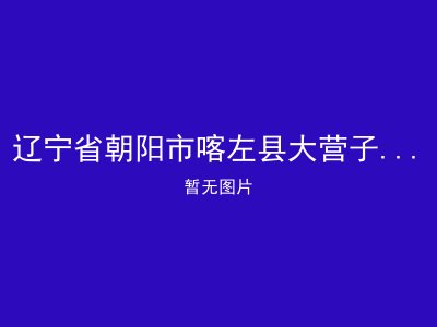 辽宁省朝阳市喀左县大营子乡敬老院