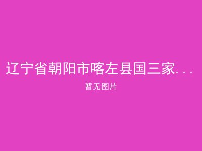 辽宁省朝阳市喀左县国三家镇敬老院